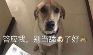 女朋友发嗯……是什么意思 女生发嗯是什么意思