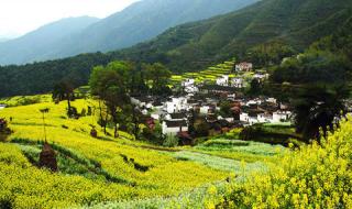 郑州十大文旅项目 郑州旅行社